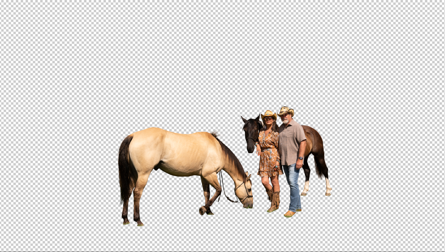 Pixel Perfect Pro
